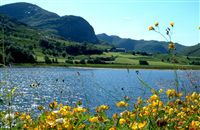 Ravndal