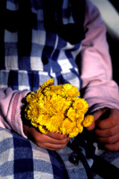 Jente med blomster