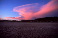 Kveld ved havet