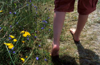 Sommer og ferie