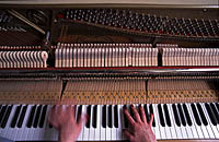 Musiker