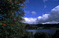 Madlandsvatnet