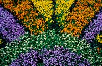Blomsterbed