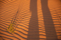 Sand, skygger