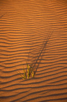 Sand, skygger