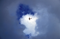 Flytur