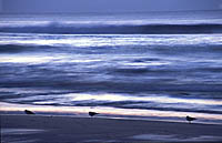 Vinter ved Borestranden