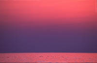 Solnedgang ved Borestranden