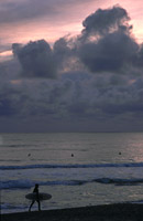 Surfer Borestranden