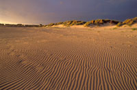 Kveld ved Borestranden