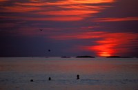 Sommer ved Borestranden