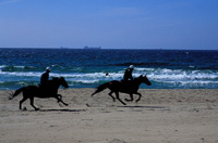 Ridetur ved Borestranden