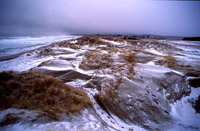 Vinter ved Borestranden