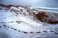 Vinter ved Borestranden