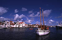 Haugesund, Haugesund kommune