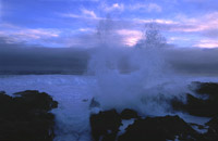 Storm ved Ferkingstad, Karmy kommune