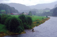 Laksefisker Suldalslgen, Suldal kommune