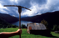 Brtveit og Suldalsvatnet, Suldal kommune