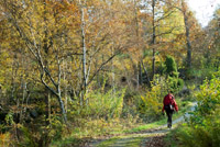 Ut p tur Bry Hjelmeland kommune